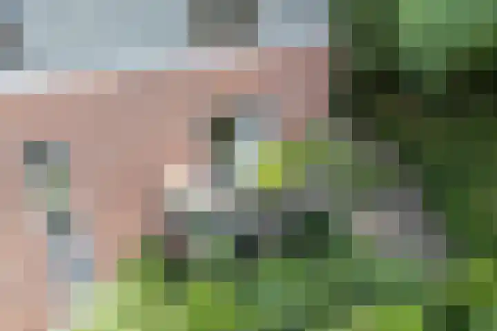 Scheidiuslaan 50 Arnhem thumbnail 34