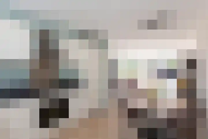 Scheisloot 22 Bodegraven thumbnail 12