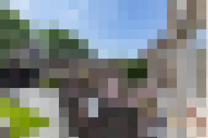 Scheisloot 22 Bodegraven thumbnail 14