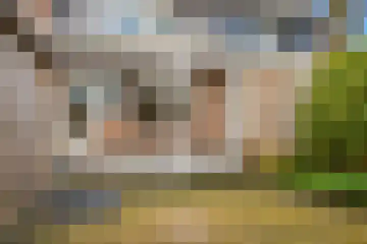 Scheisprong 5 Westervoort thumbnail 25