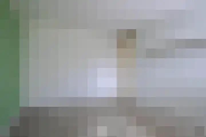 Scheisprong 5 Westervoort thumbnail 29