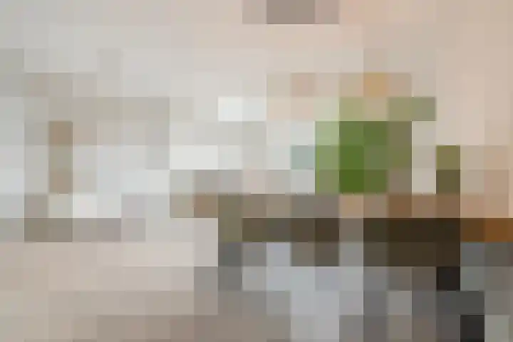 Schelde 11 Hoogeveen thumbnail 20