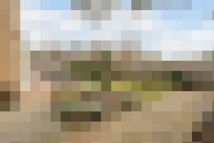Schelde 11 Hoogeveen thumbnail 47
