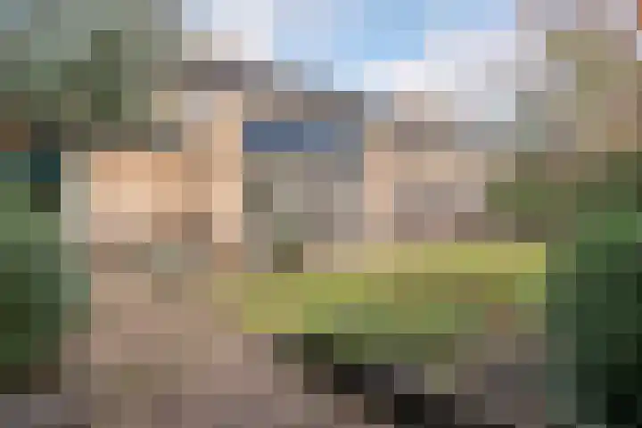 Schelde 11 Hoogeveen thumbnail 49