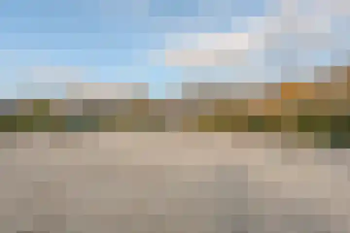 Schelde 11 Hoogeveen thumbnail 54