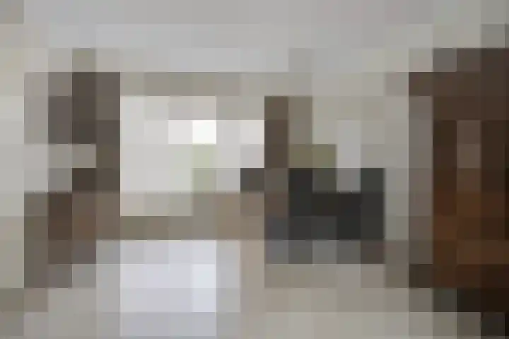Scheldelaan 12 Hoeven thumbnail 11