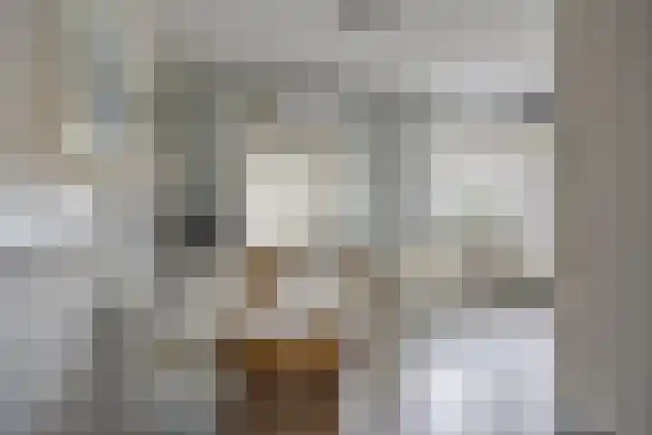 Scheldelaan 12 Hoeven thumbnail 12