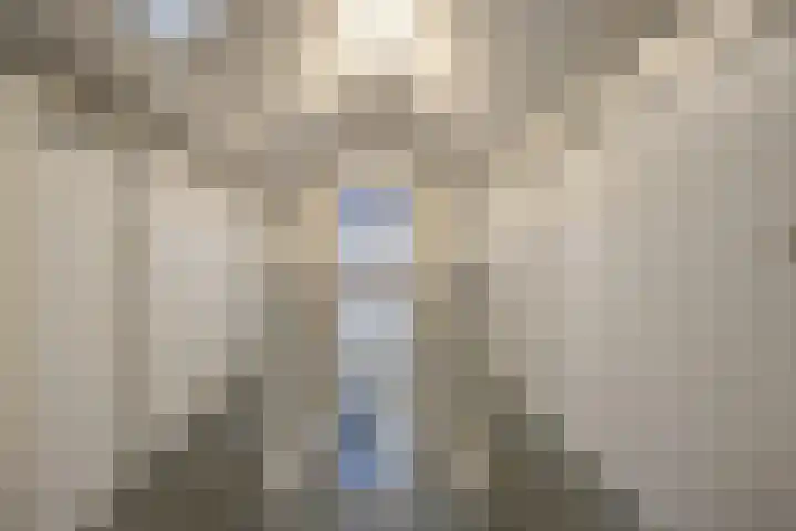 Scheldelaan 12 Hoeven thumbnail 27