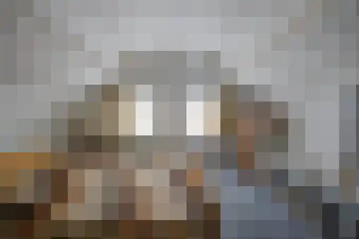 Scheldelaan 12 Hoeven thumbnail 28