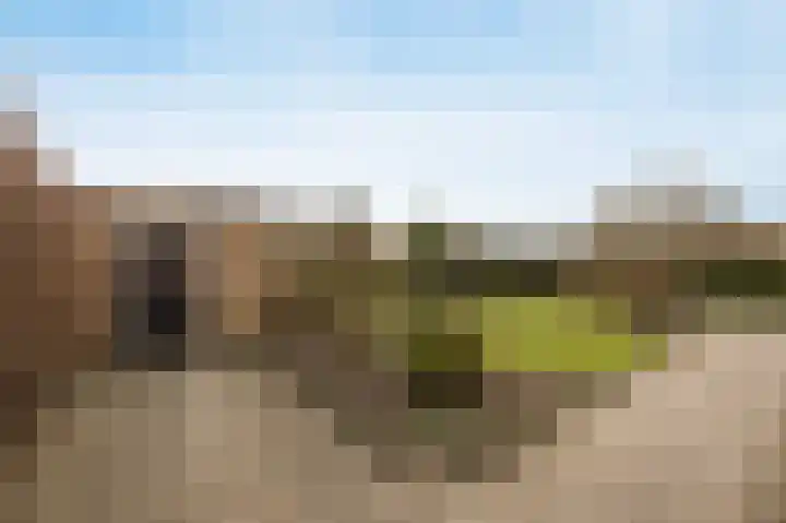 Scheldelaan 12 Hoeven thumbnail 33