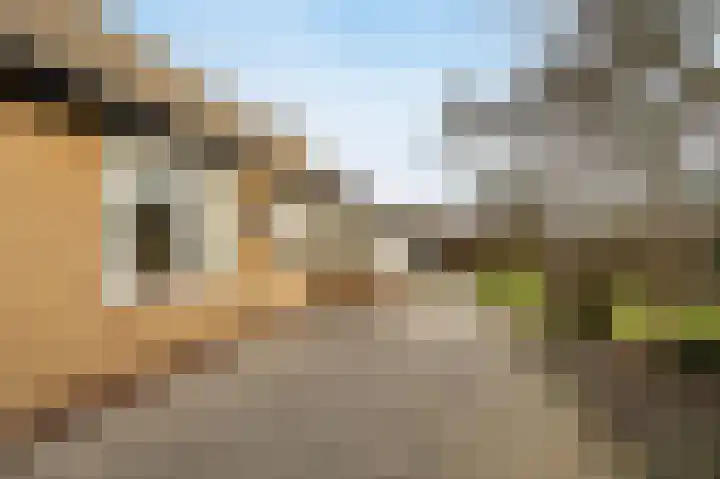 Scheldelaan 12 Hoeven thumbnail 36