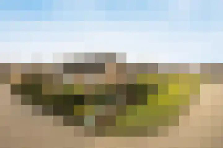 Scheldelaan 12 Hoeven thumbnail 39