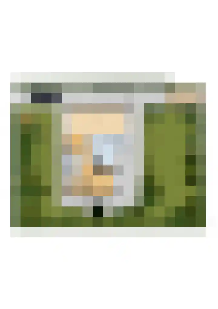 Scheldelaan 12 Hoeven thumbnail 44