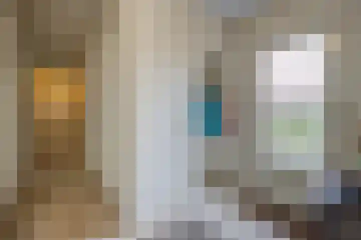 Scheldelaan 12 Hoeven thumbnail 6