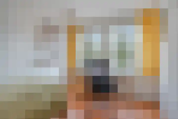 Scheldelaan 2 Son en Breugel thumbnail 32