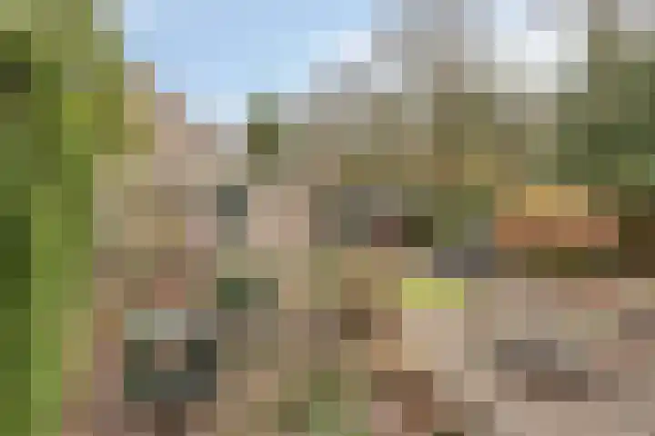 Scheldelaan 2 Son en Breugel thumbnail 4