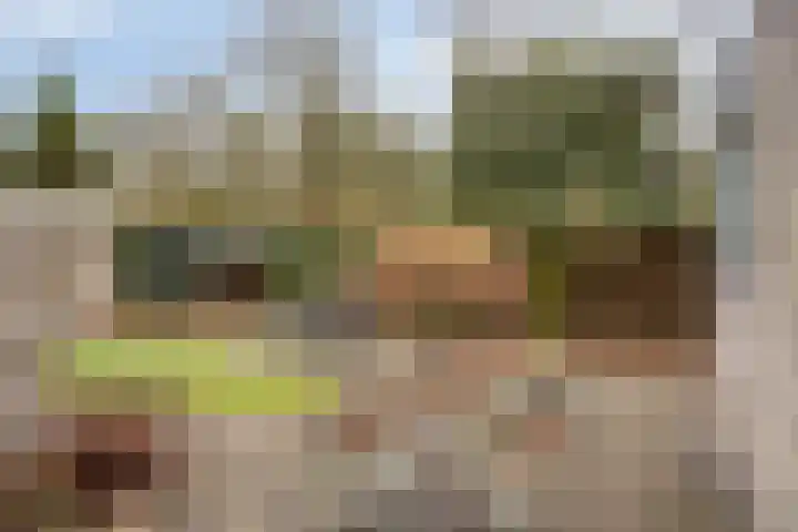 Scheldelaan 2 Son en Breugel thumbnail 40
