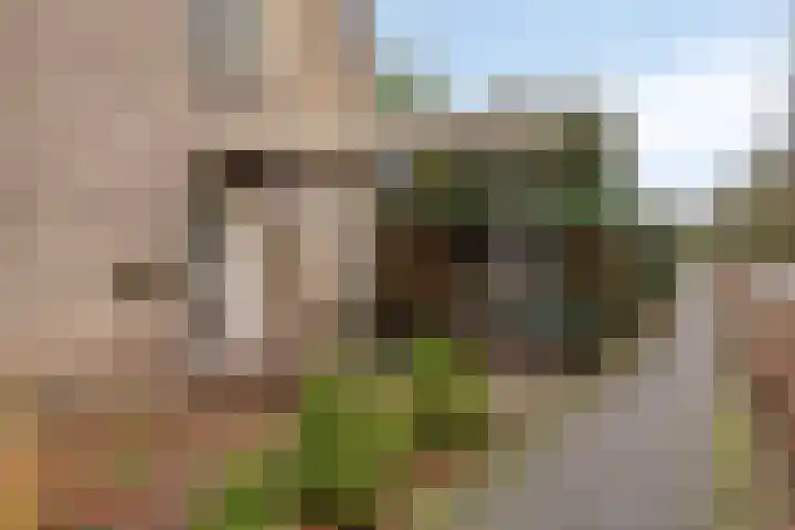 Scheldelaan 2 Son en Breugel thumbnail 8