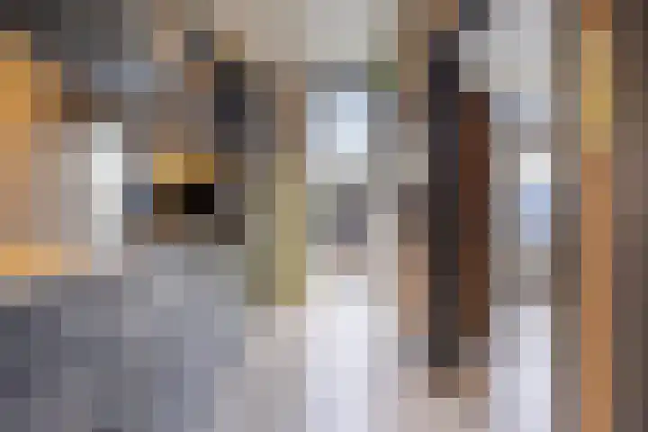 Scheldeplein 21 Ridderkerk thumbnail 14