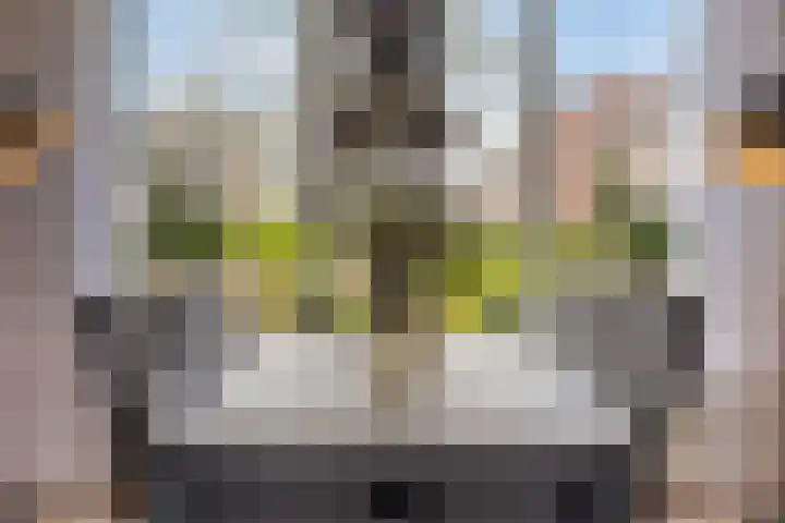 Scheldeplein 21 Ridderkerk thumbnail 19