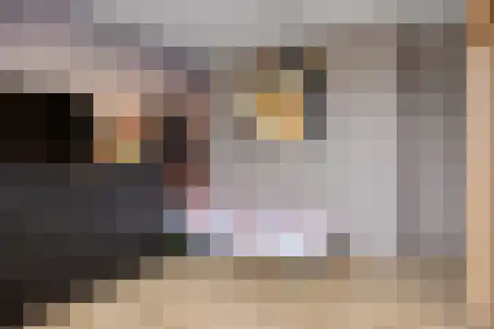 Scheldeplein 21 Ridderkerk thumbnail 25