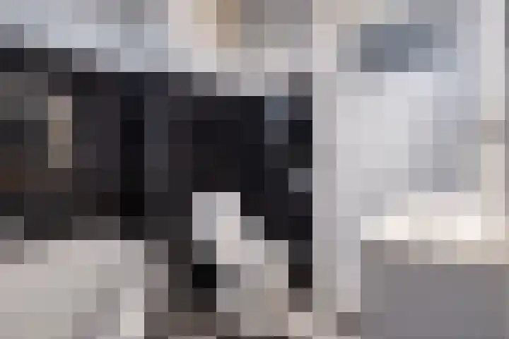 Scheldeplein 21 Ridderkerk thumbnail 30