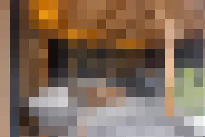 Scheldeplein 21 Ridderkerk thumbnail 36
