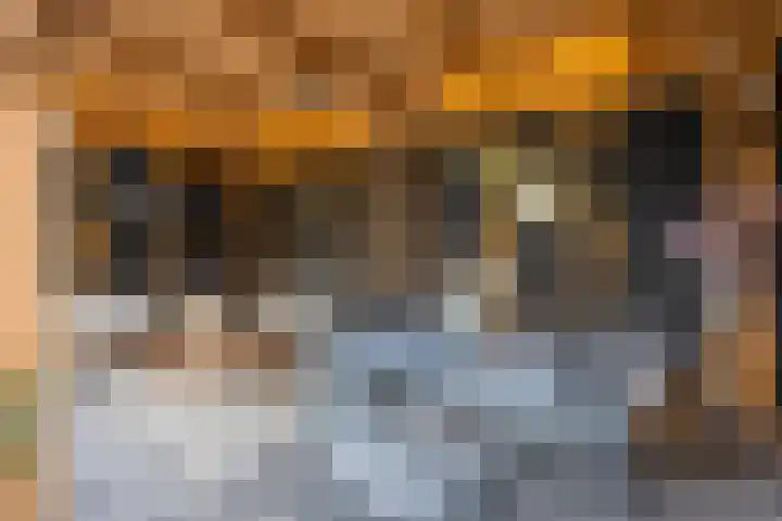 Scheldeplein 21 Ridderkerk thumbnail 38