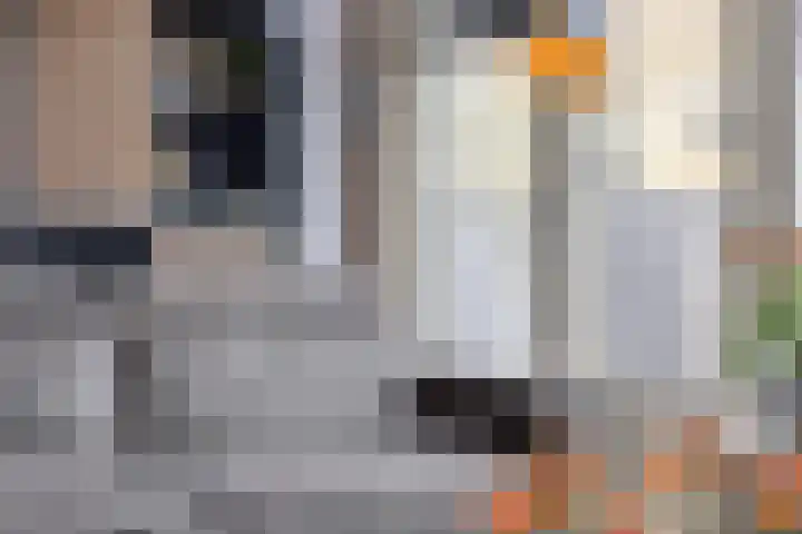 Scheldeplein 21 Ridderkerk thumbnail 9