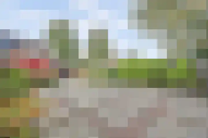 Scheldeplein 38 Ridderkerk thumbnail 28