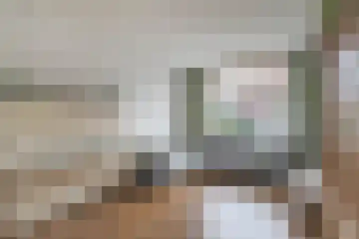 Scheldestraat 113 Goes thumbnail 10
