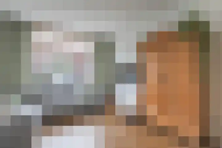 Scheldestraat 113 Goes thumbnail 11