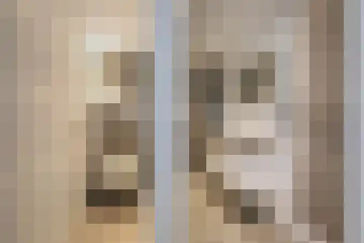 Scheldestraat 113 Goes thumbnail 14