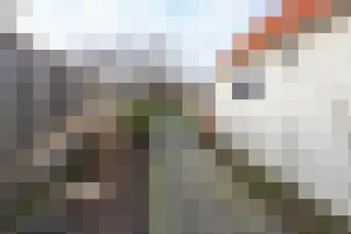 Scheldestraat 113 Goes thumbnail 26