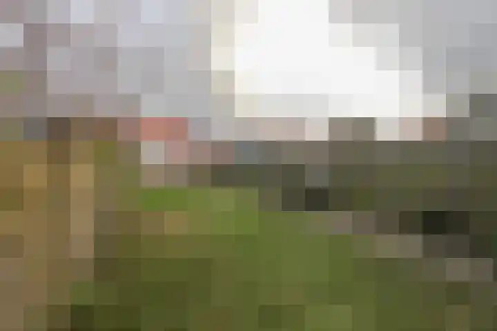 Scheldestraat 113 Goes thumbnail 34