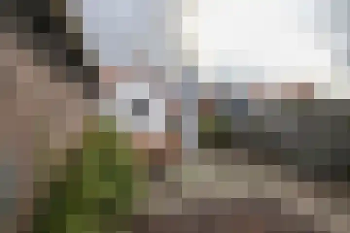Scheldestraat 113 Goes thumbnail 35