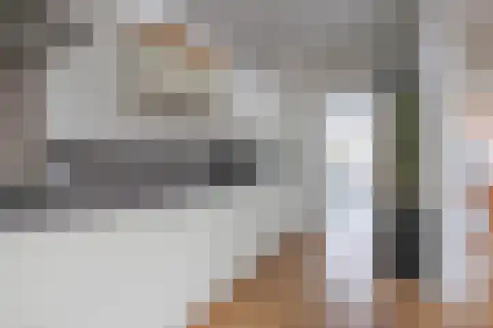 Scheldestraat 113 Goes thumbnail 6