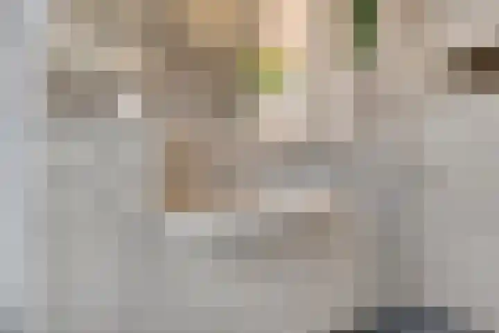 Scheldestraat 23 Budel thumbnail 17