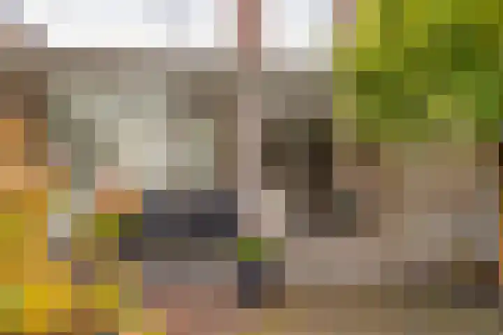 Scheldestraat 23 Budel thumbnail 20