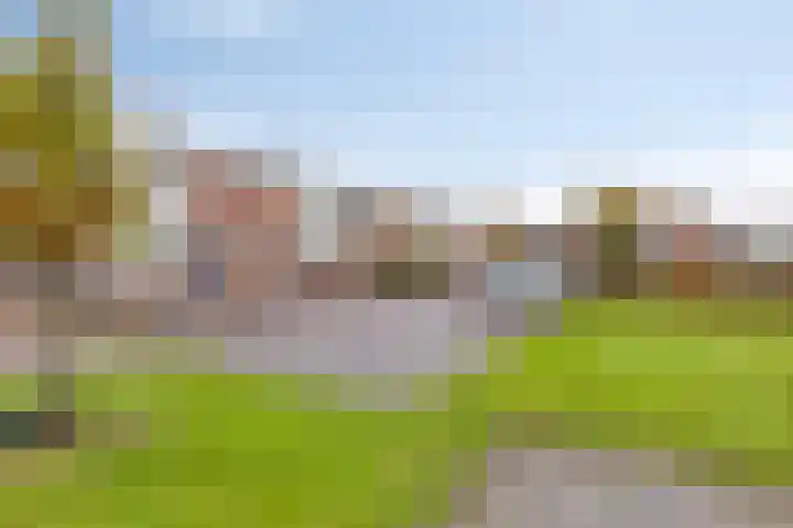 Scheldestraat 23 Budel thumbnail 23
