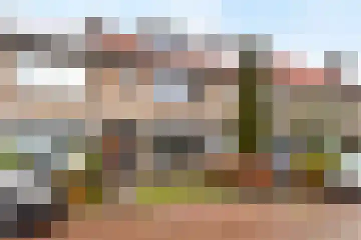 Scheldestraat 30 Hansweert thumbnail 43