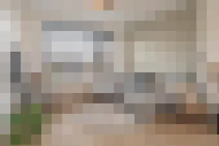 Scheldestraat 30 Hansweert thumbnail 6