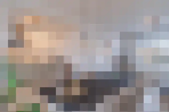 Scheldestraat 30 Hansweert thumbnail 8
