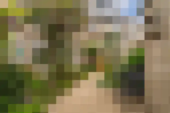 Schelfhout 12 Monster thumbnail 19