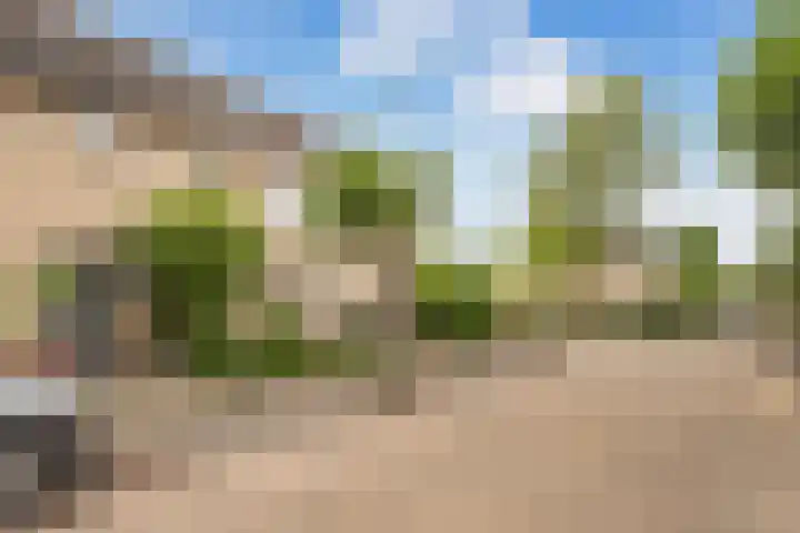 Schelfhout 12 Monster thumbnail 42