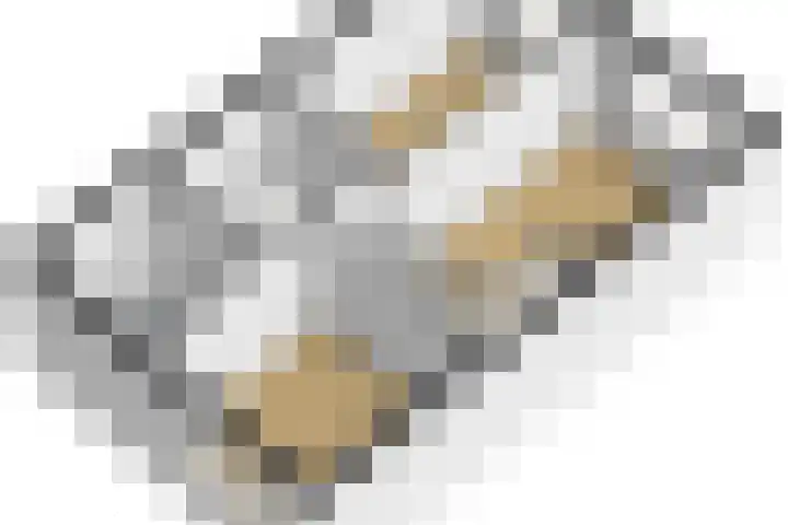 Schelfhout 12 Monster thumbnail 49