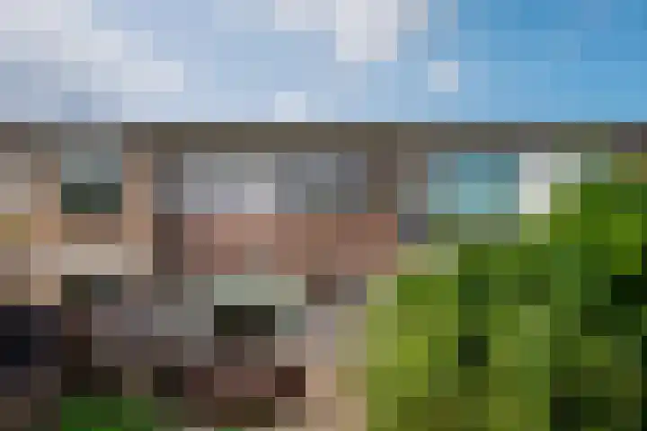Schelfhoutstraat 11 Zevenaar thumbnail 19