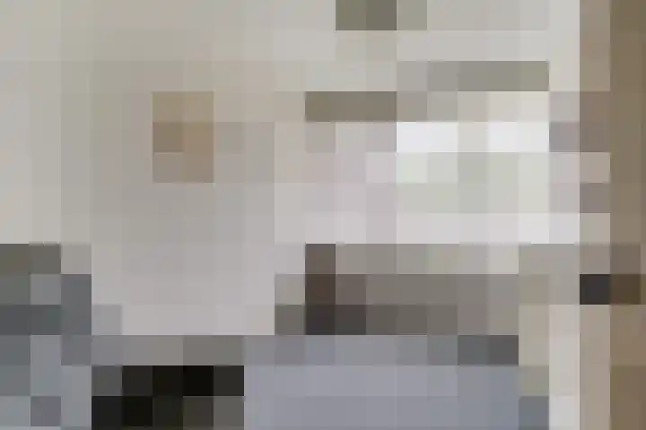 Schelfhoutstraat 11 Zevenaar thumbnail 4