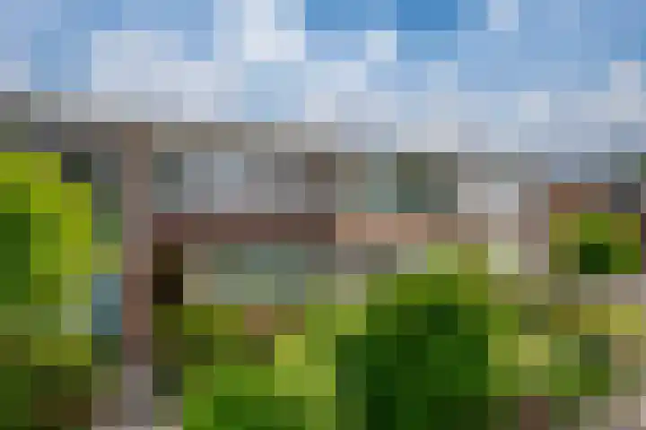 Schelfhoutstraat 11 Zevenaar thumbnail 5
