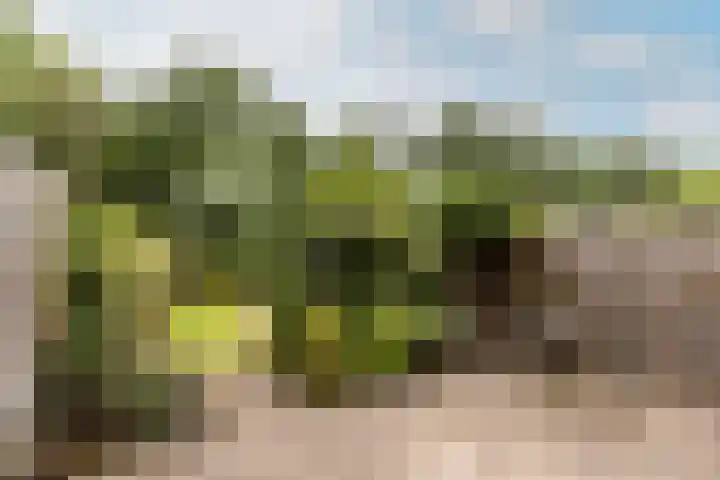 Schelfstraat 9 's-Gravendeel thumbnail 4